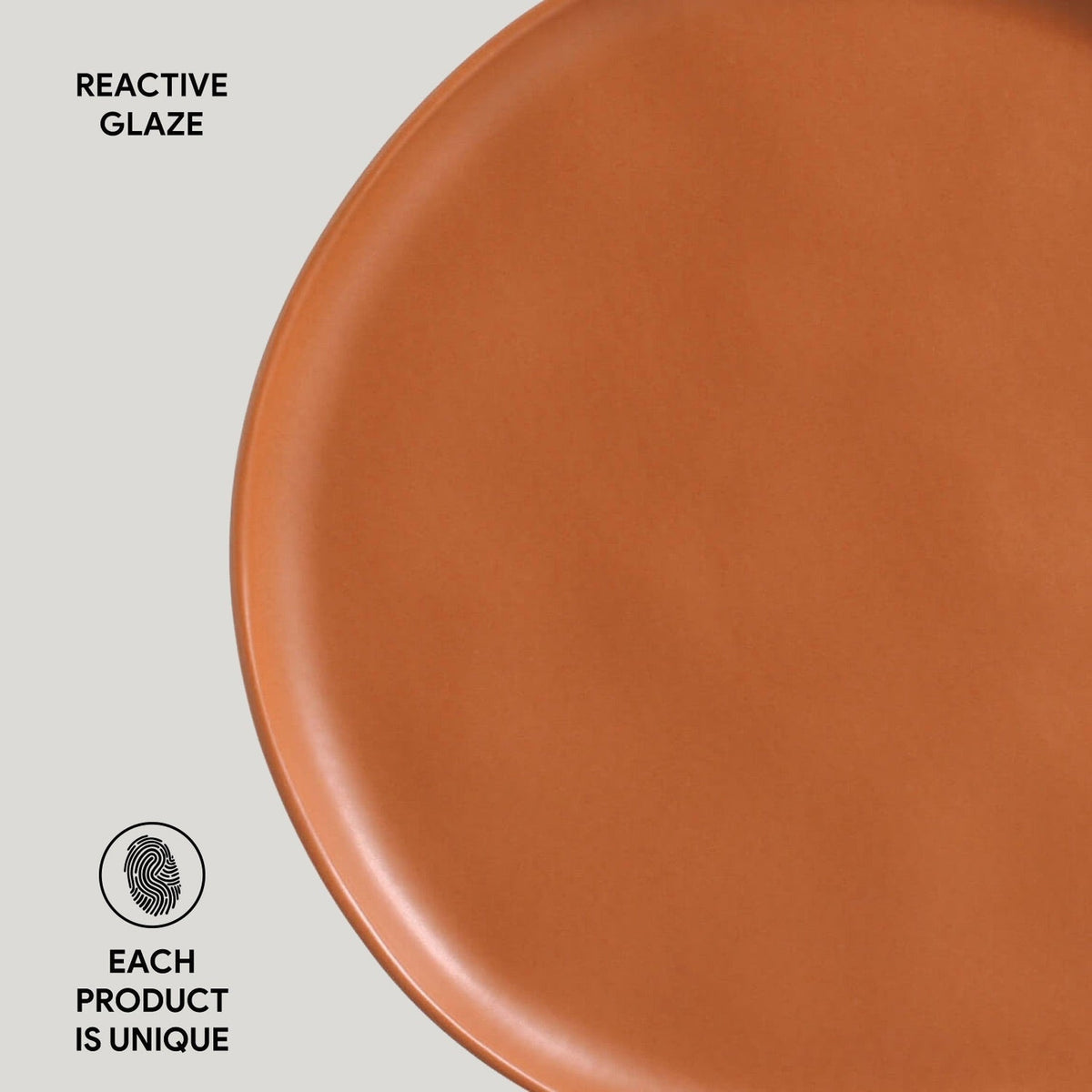 Dinner Plate, Set of 6