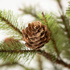 Large Pinecone Tree in Burlap - Sea Green Designs