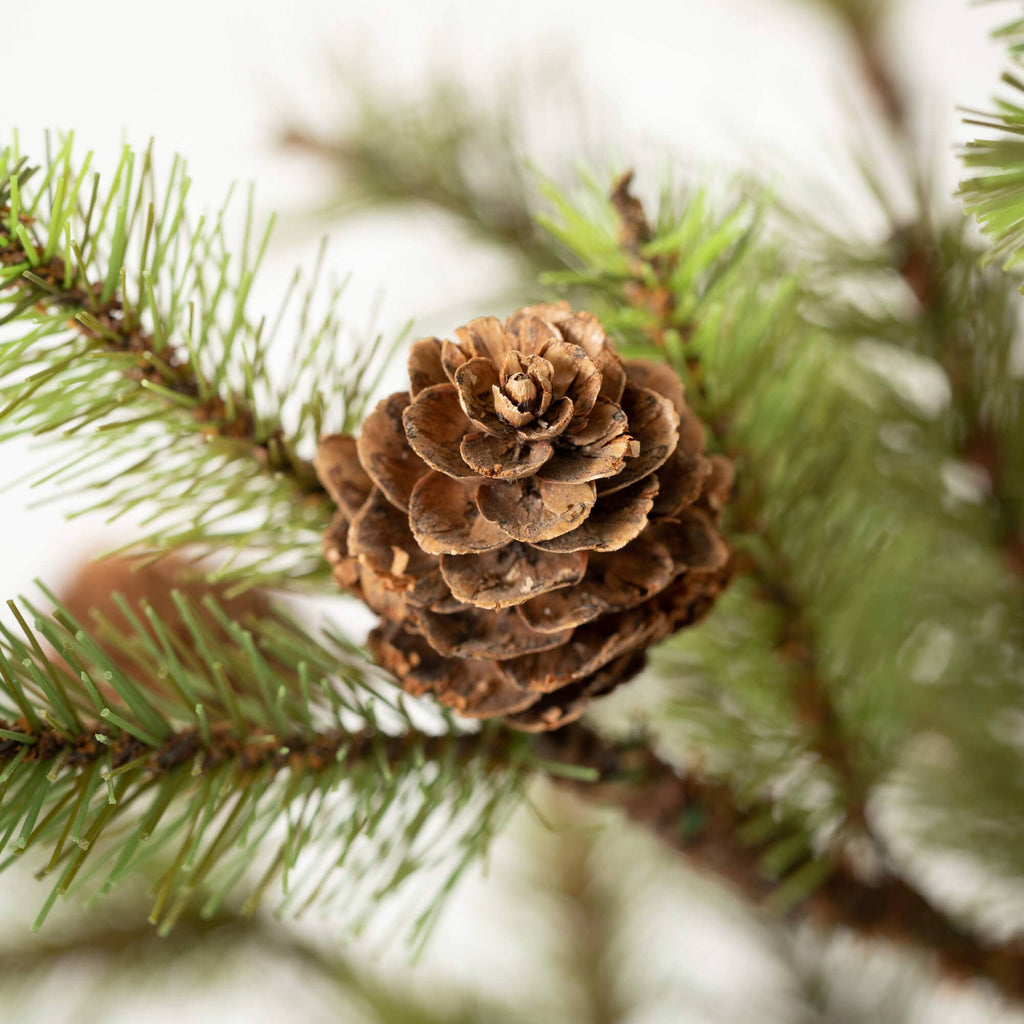 Large Pinecone Tree in Burlap - Sea Green Designs