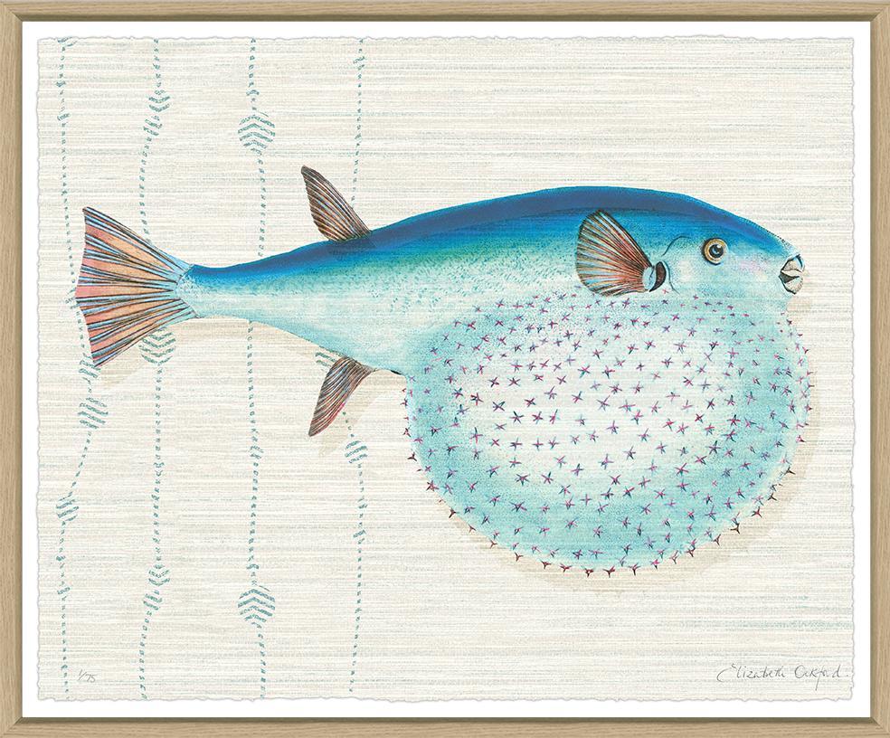 Kitts By Elizabeth Ockford - Sea Green Designs
