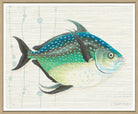 Kitts By Elizabeth Ockford - Sea Green Designs