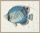 Kitts By Elizabeth Ockford - Sea Green Designs