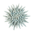 Large Flower Blue - Sea Green Designs