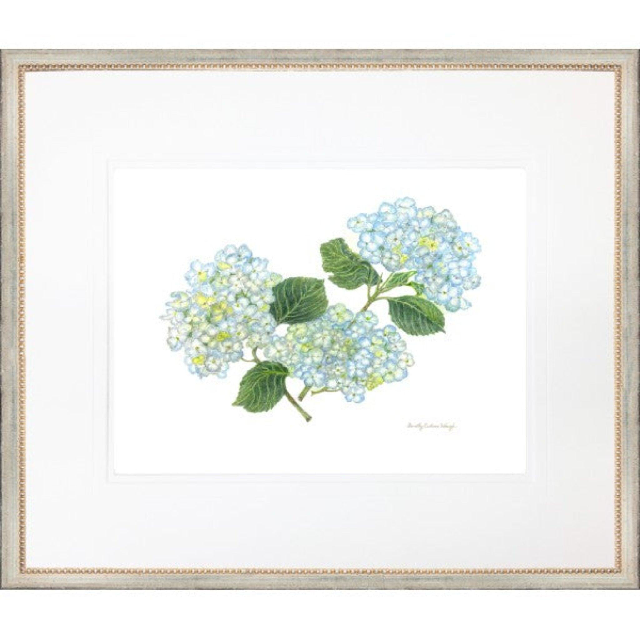 Light Blue And Green Hydrangea Print - Sea Green Designs
