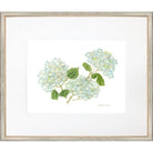 Light Blue And Green Hydrangea Print - Sea Green Designs