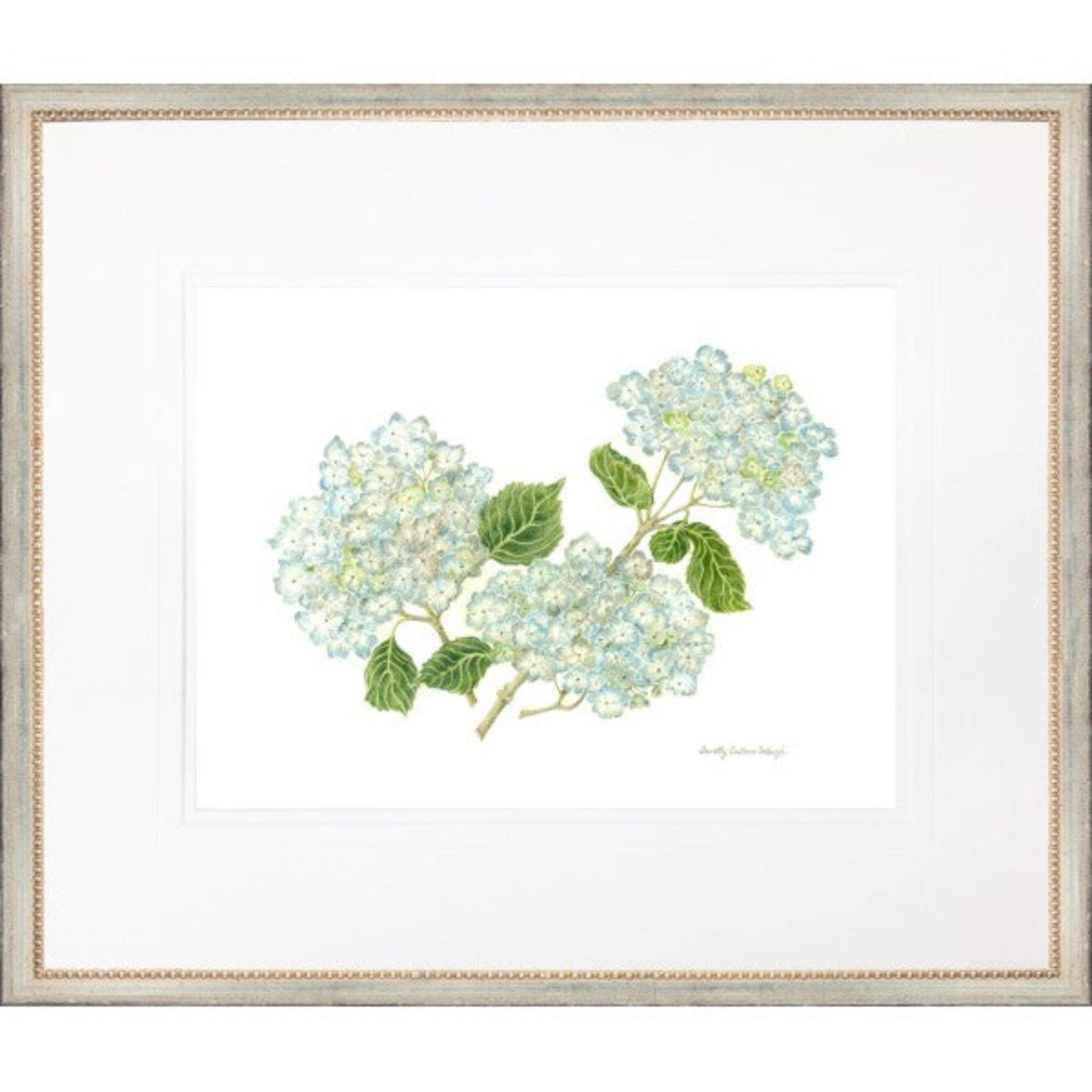Light Blue And Green Hydrangea Print - Sea Green Designs