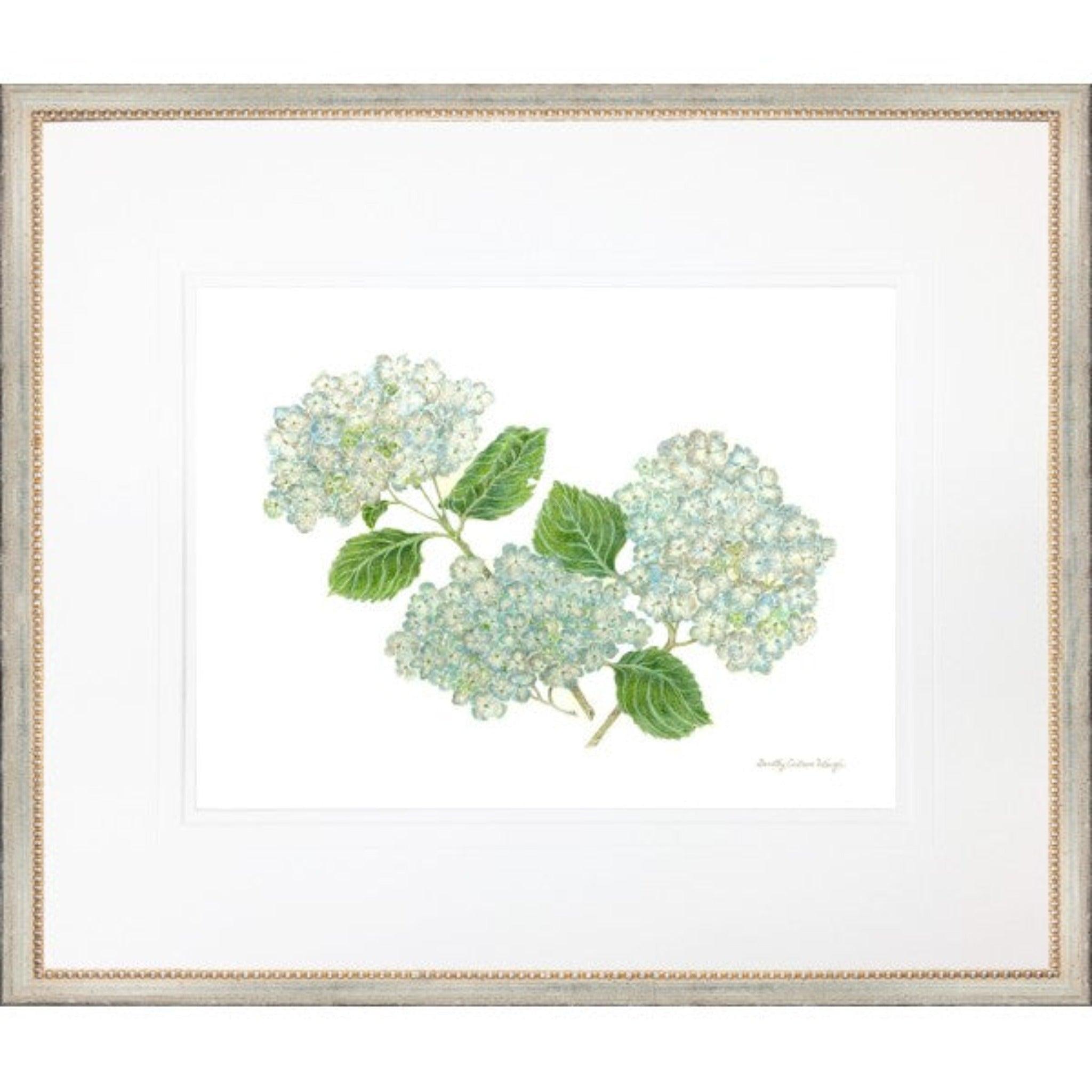 Light Blue And Green Hydrangea Print - Sea Green Designs