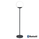 MOOON! Lamp H.53" - Sea Green Designs