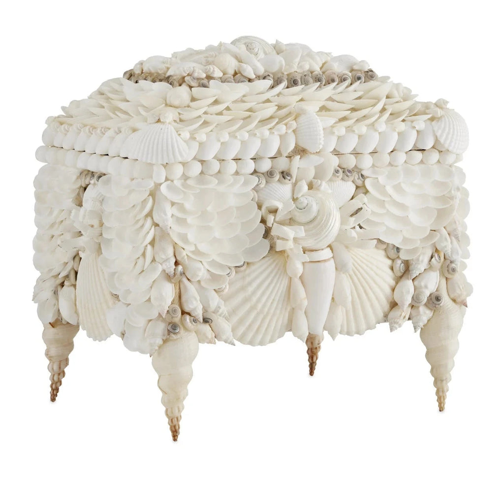 Boardwalk White Shell Jewelry Box - Sea Green DEsigns