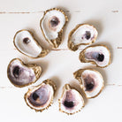 Oyster Jewelry Dish - Sea Green Designs