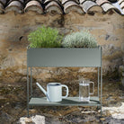 Picolino Planter H.25" - Sea Green Designs