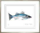 Sea Bass - Sea Green Designs