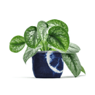Shibori Indigo Planter - Sea Green Designs