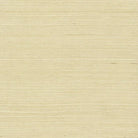 Plain Grass Wallpaper - Sea Green Designs