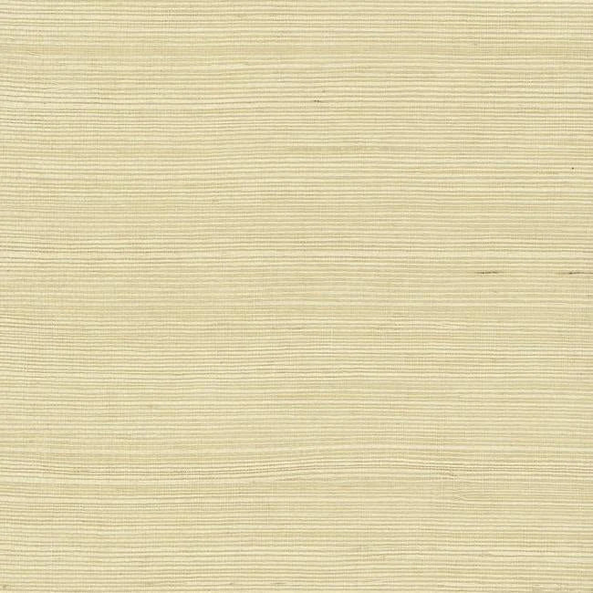 Plain Grass Wallpaper - Sea Green Designs