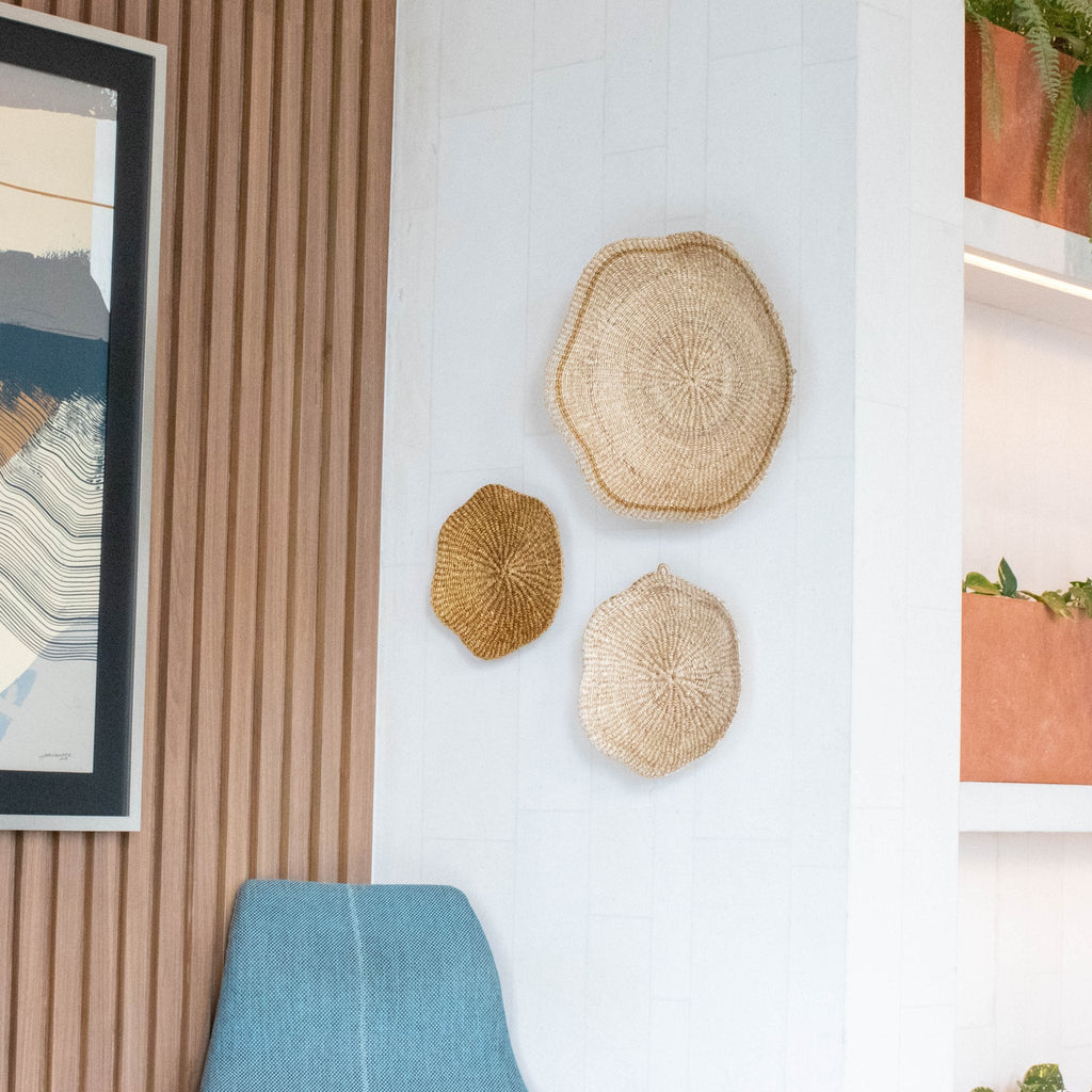 Scallop Wall Baskets, Large - Sea Green Designs