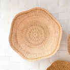 Scallop Wall Baskets, Large - Sea Green Designs