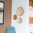 Scallop Wall Baskets, Small - Sea Green Designs