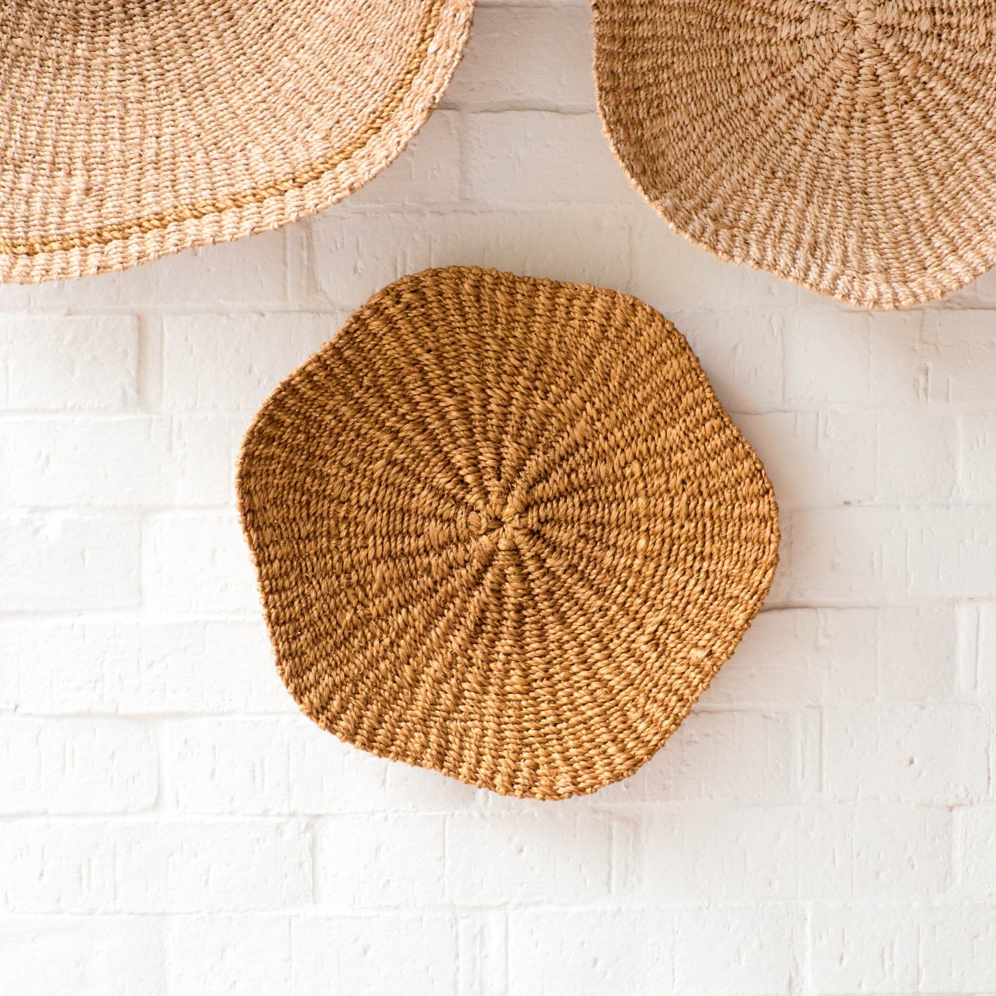 Scallop Wall Baskets, Small - Sea Green Designs