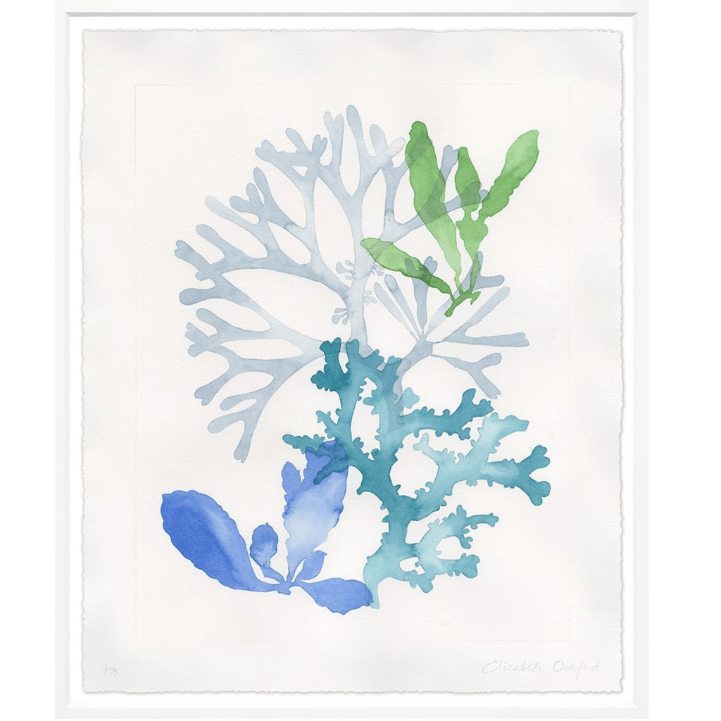 Watercolour Corals - Sea Green Designs