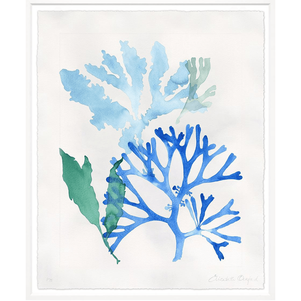 Watercolour Corals - Sea Green Designs